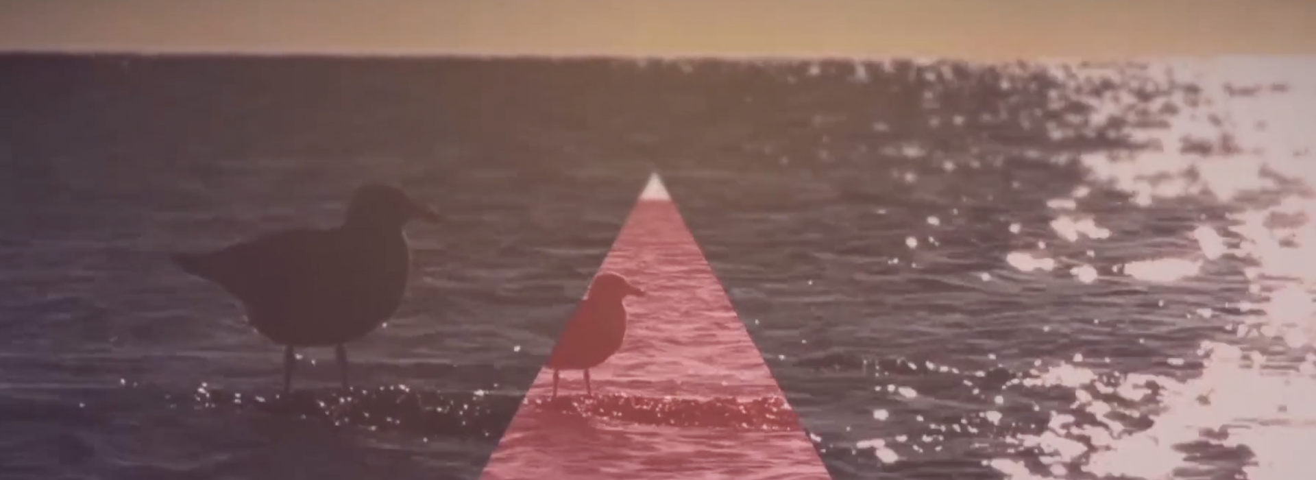 Motion Design & Animation | Digital Media & Design