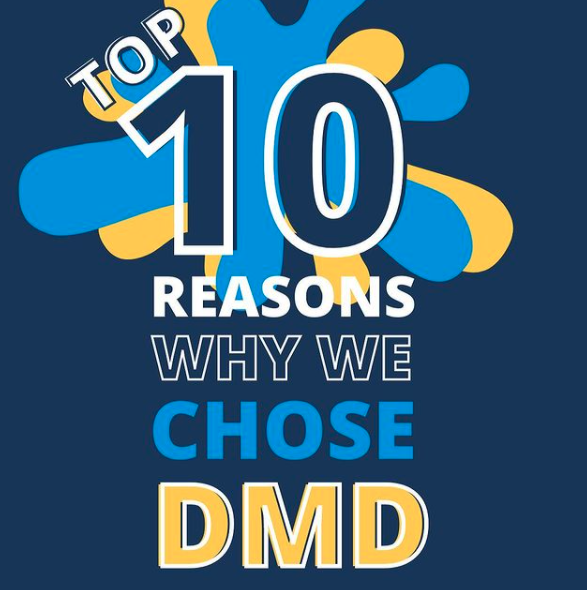 Digital Media Business Strategies (B.A.) Digital Media & Design